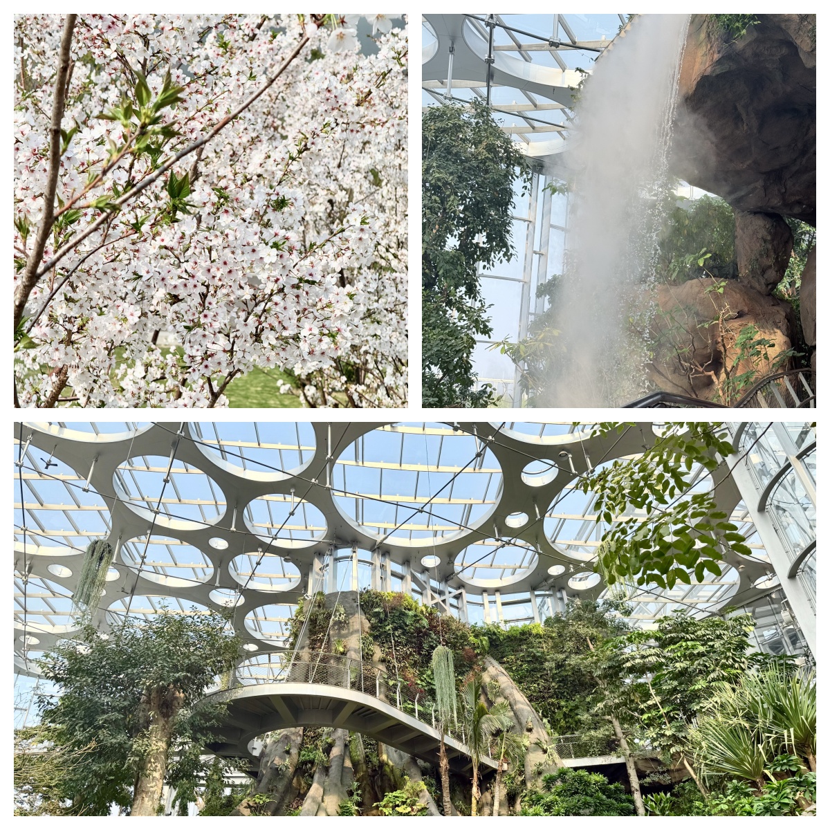 未命名.jpg 未命名.jpg